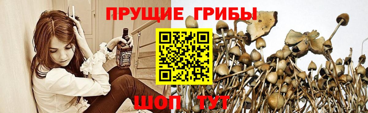 Кокаин Лабинск
